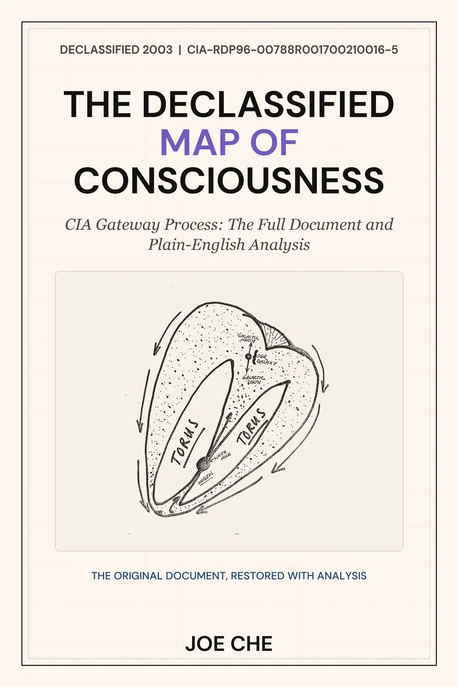 The Declassified Map of Consciousness cover