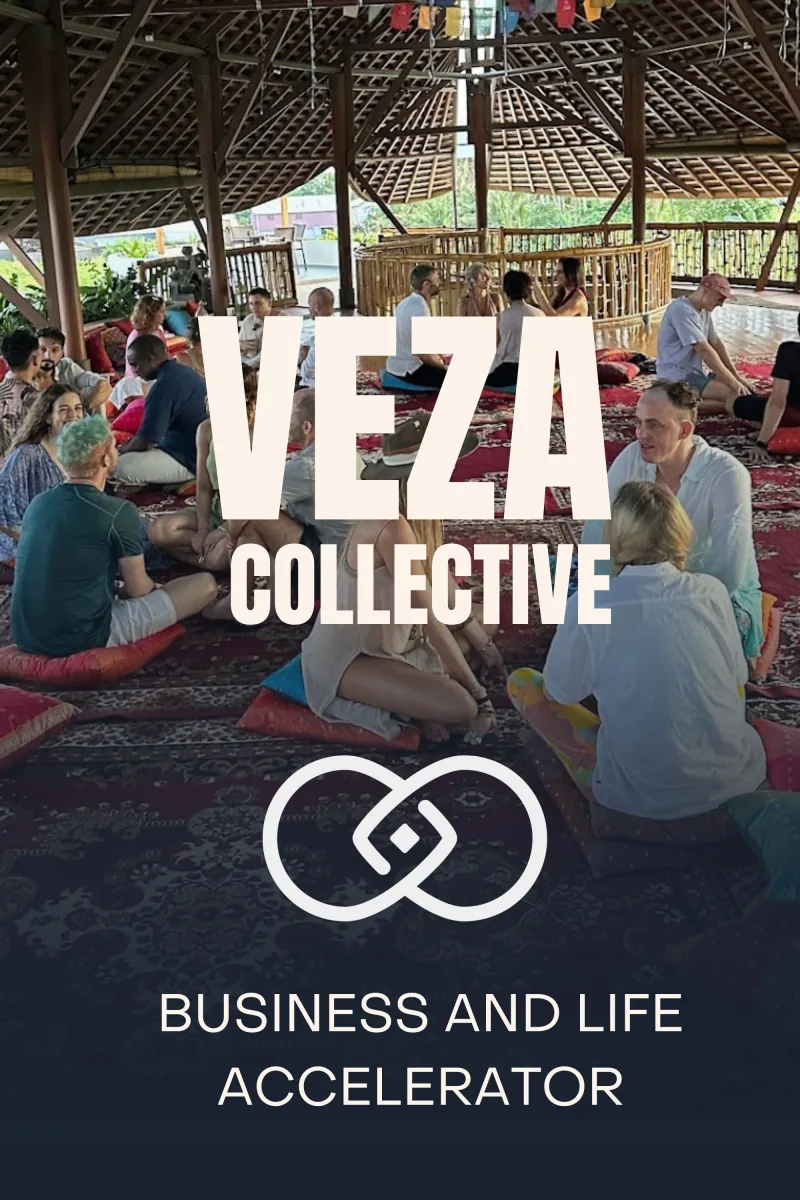 VEZA Life & Business Accelerator
